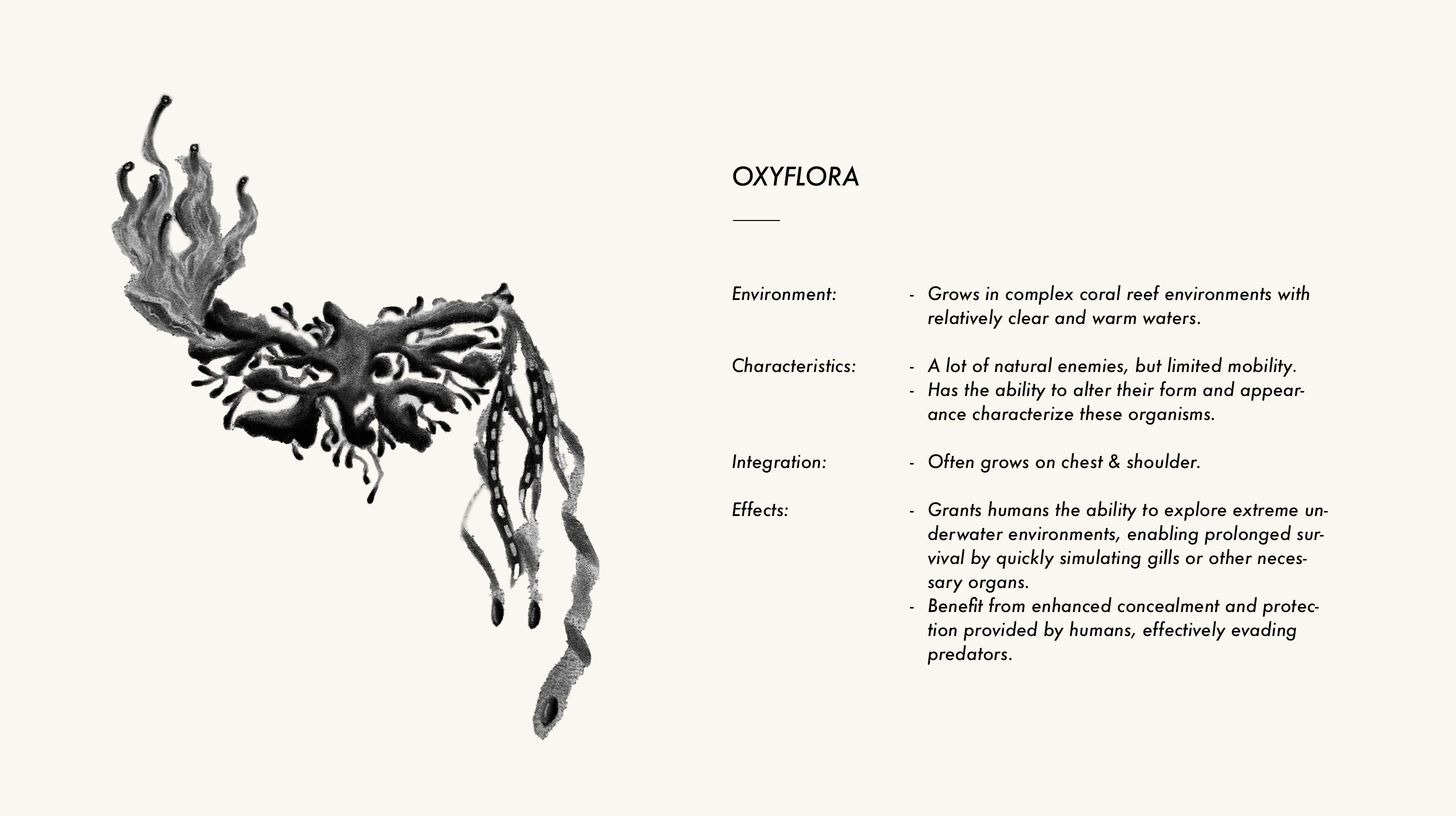 Oxyflora organism study